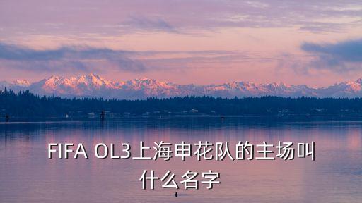 FIFA OL3上海申花隊的主場叫什么名字