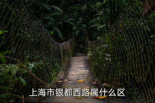 上海市銀都西路555弄屬于哪個區，上海市寶山區城銀路555弄這個屬于那個鎮