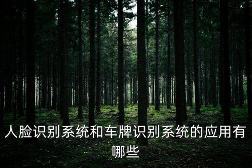 人臉識別系統和車牌識別系統的應用有哪些