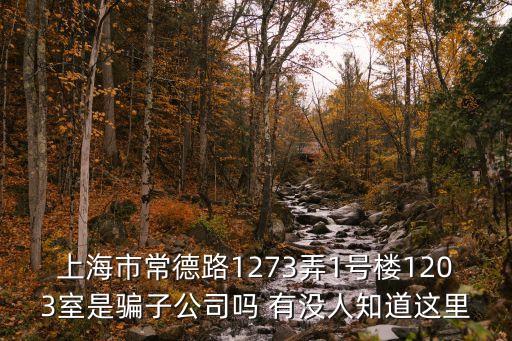 上海市常德路1273弄1號樓1203室是騙子公司嗎 有沒人知道這里