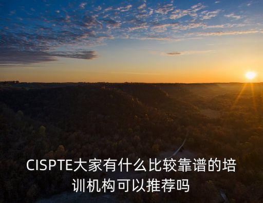 CISPTE大家有什么比較靠譜的培訓機構可以推薦嗎