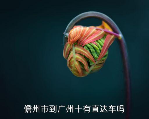 儋州市到廣州十有直達車嗎