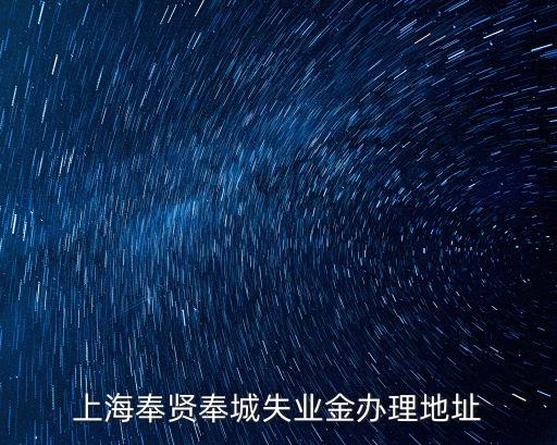 上海奉賢奉城失業金辦理地址