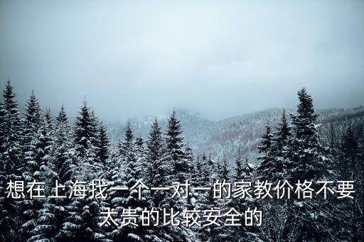 上海市家教上門輔導(dǎo)家教價格，想在上海找一個一對一的家教價格不要太貴的比較安全的