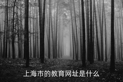 上海市教育人才服務網站，上海人才網網址多少來著要手機版的謝了