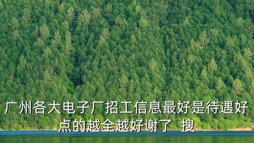 廣州德毅科技有限公司招聘電話，廣州各大電子廠招工信息最好是待遇好點的越全越好謝了  搜