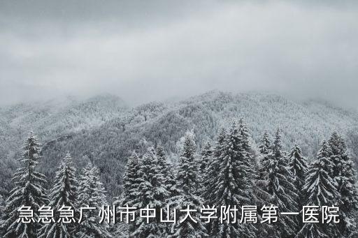 急急急廣州市中山大學附屬第一醫院