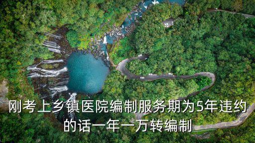 廣州醫院編制好處，剛考上鄉鎮醫院編制服務期為5年違約的話一年一萬轉編制