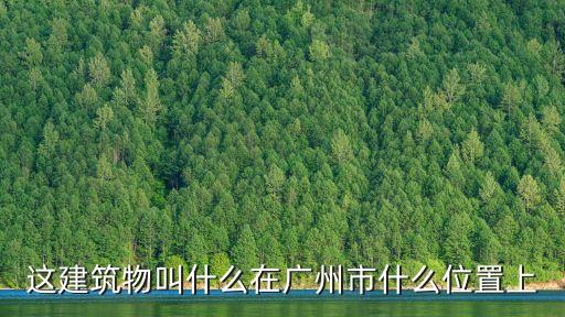 這建筑物叫什么在廣州市什么位置上