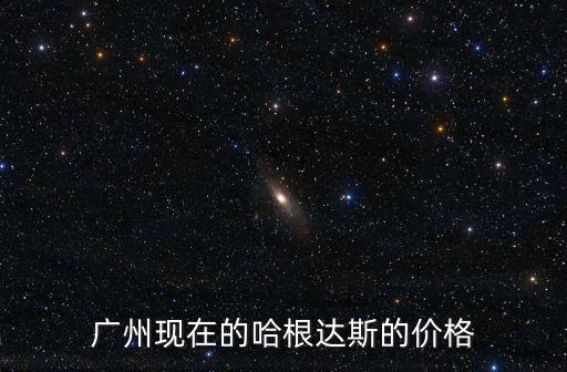 廣州冰淇淋套餐，廣州現在的哈根達斯的價格