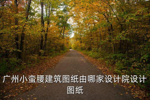 廣州小蠻腰平面圖，廣州小蠻腰建筑圖紙由哪家設計院設計圖紙