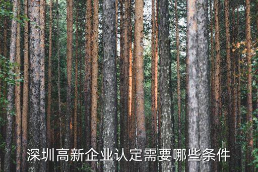 深圳高新企業認定需要哪些條件