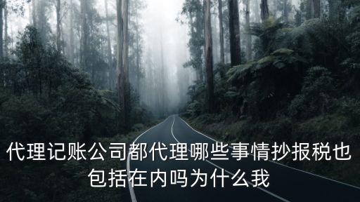 代理記賬公司都代理哪些事情抄報稅也包括在內嗎為什么我
