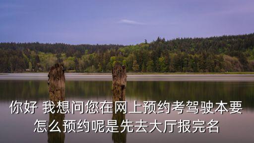 東莞市人民醫院駕照體檢怎么預約，我的駕駛證年審怎么預約