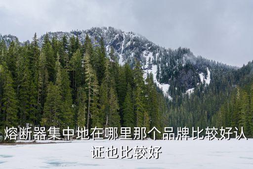 熔斷器集中地在哪里那個品牌比較好認證也比較好