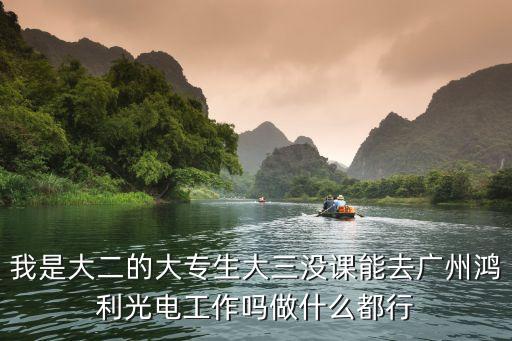 我是大二的大專生大三沒課能去廣州鴻利光電工作嗎做什么都行