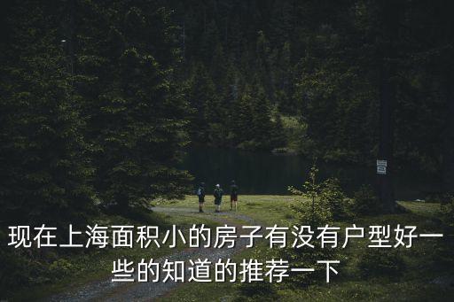 現(xiàn)在上海面積小的房子有沒有戶型好一些的知道的推薦一下