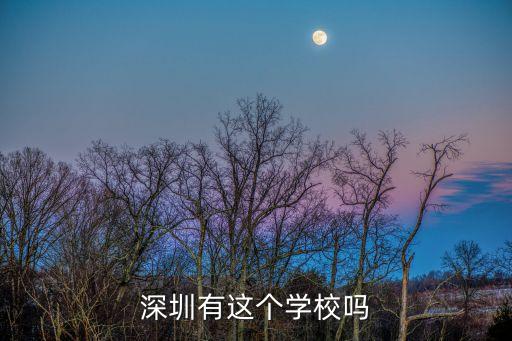 深圳有這個學校嗎