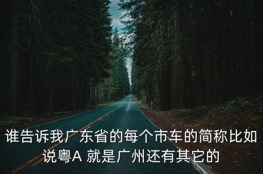 廣州車粵名車，廣州有哪些汽車