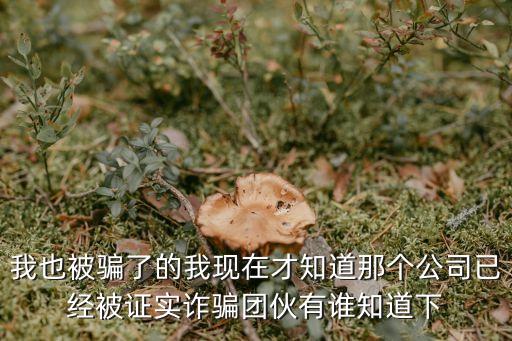 廣州鳴彩公司詐騙，我也被騙了的我現在才知道那個公司已經被證實詐騙團伙有誰知道下