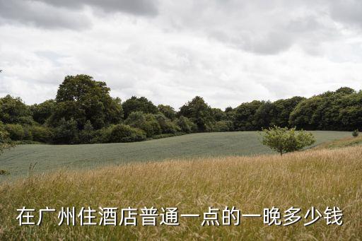 在廣州住酒店普通一點(diǎn)的一晚多少錢