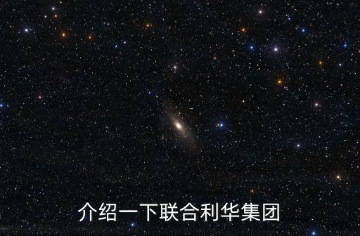 介紹一下聯合利華集團