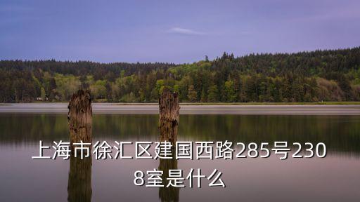 上海市徐匯區建國西路228路，上海市徐匯區建國西路285號2308室是什么