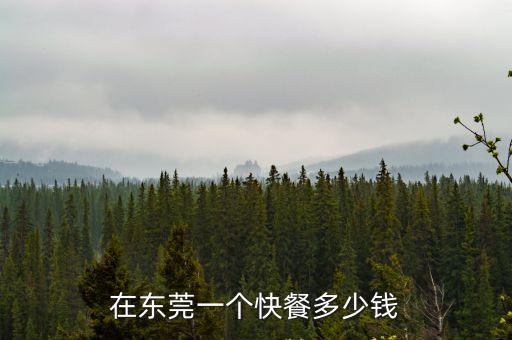 在東莞一個快餐多少錢