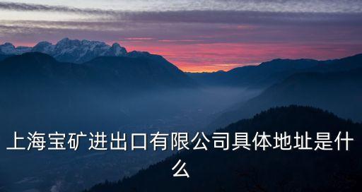 上海寶礦進出口有限公司具體地址是什么