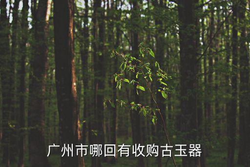 廣州玉器回收店，廣州市哪回有收購古玉器