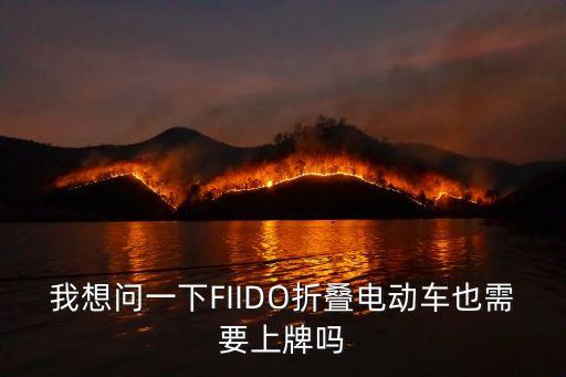我想問一下FIIDO折疊電動(dòng)車也需要上牌嗎