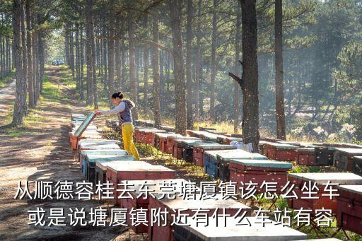 從順德容桂去東莞塘廈鎮該怎么坐車 或是說塘廈鎮附近有什么車站有容