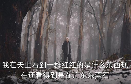 東莞石碣源興科技發生火災，廣東東莞源興科技有限公司