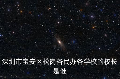 深圳市寶安區松崗各民辦各學校的校長是誰