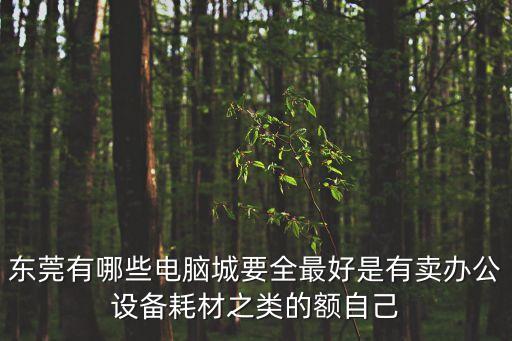 東莞方中電腦城有什么賣，東莞宏遠這里哪有大一點的買電腦的地方啊