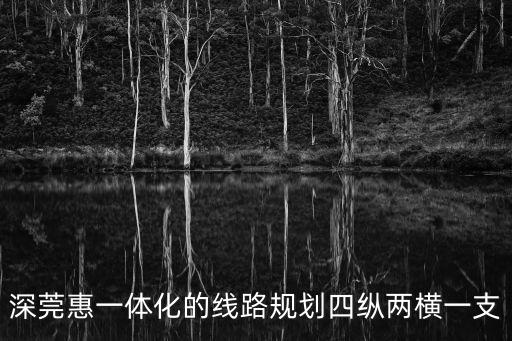 穗莞深城軌廣州段線路圖，穗莞深城際鐵路詳細(xì)的路線分布圖