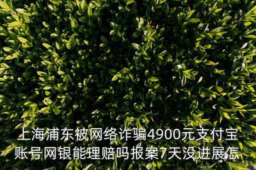 上海市網絡詐騙犯，上海一推網絡科技詐騙