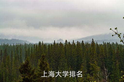 上海大學在上海市的排名，上海大學好嗎在全國的排名