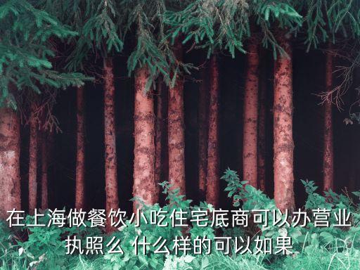 在上海做餐飲小吃住宅底商可以辦營業執照么 什么樣的可以如果