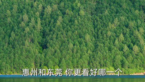 東莞社保好還是惠州社保好，惠州和東莞 你更看好哪一個