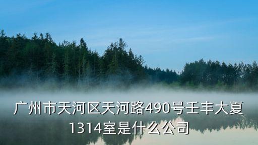 廣州市天河區天河路490號壬豐大夏1314室是什么公司