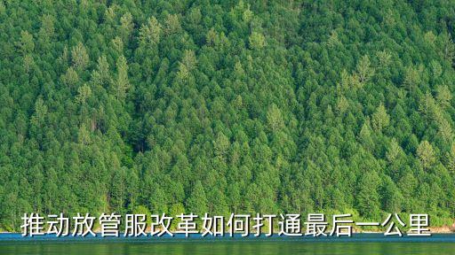 推動放管服改革如何打通最后一公里