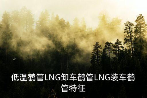 低溫鶴管LNG卸車鶴管LNG裝車鶴管特征