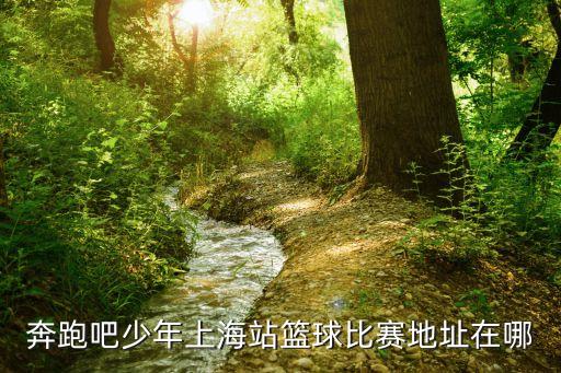 奔跑吧少年上海站籃球比賽地址在哪