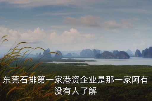 東莞石排第一家港資企業(yè)是那一家阿有沒有人了解
