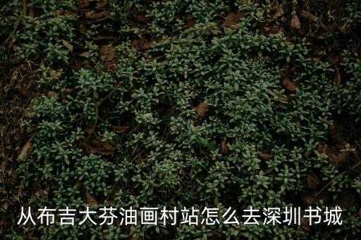 從布吉大芬油畫村站怎么去深圳書城