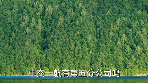 中交一航有第五分公司嗎