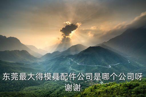 東莞最大得模具配件公司是哪個公司呀謝謝