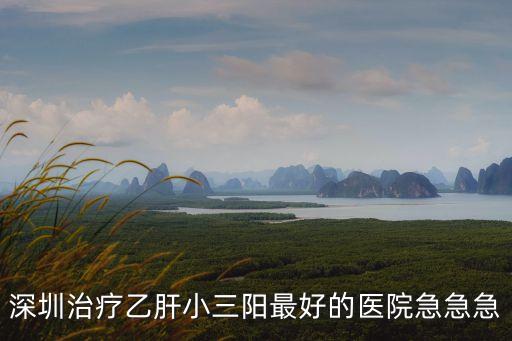 深圳治療乙肝小三陽最好的醫院急急急