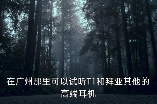 在廣州那里可以試聽T1和拜亞其他的高端耳機